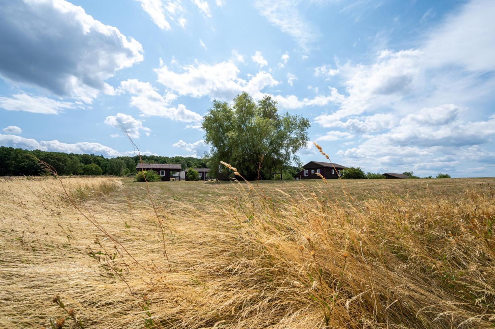 Camping Les Vosges Du Nord Oberbronn Extérieur photo